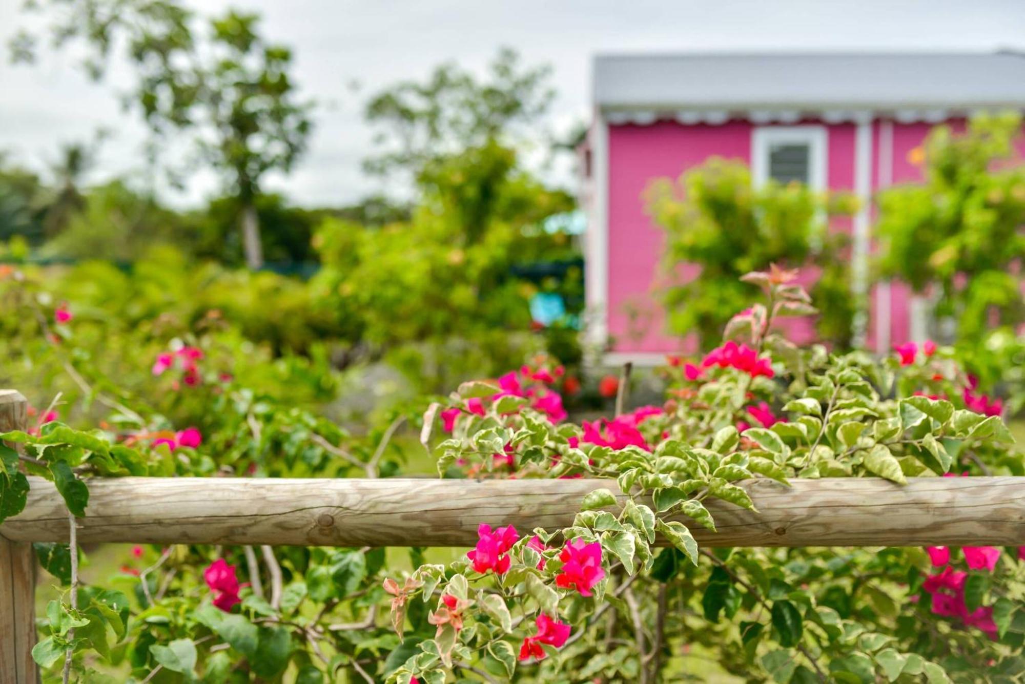 Les Jardins De Chantilly -Bungalows 4 Etoiles Avec Jardins Et Piscines Privees Baie-Mahault Quarto foto